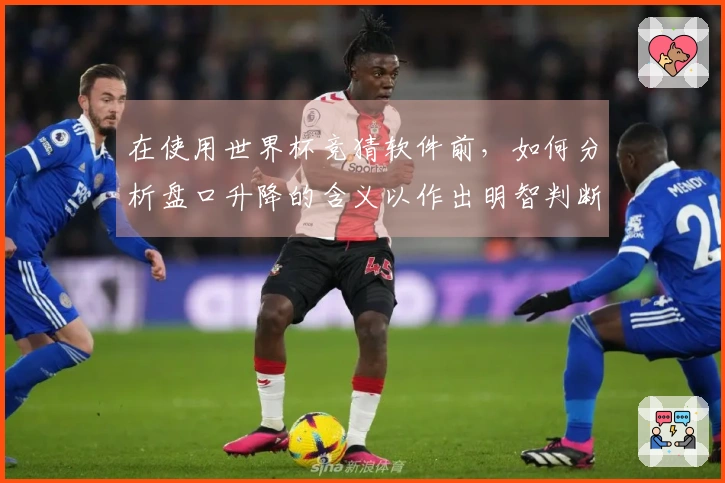 在使用世界杯竞猜软件前，如何分析盘口升降的含义以作出明智判断？