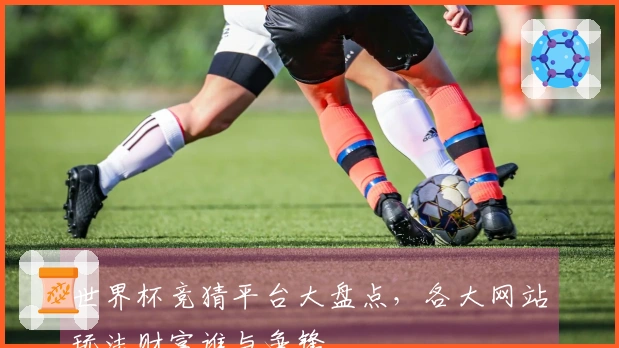 世界杯竞猜平台大盘点，各大网站玩法财富谁与争锋