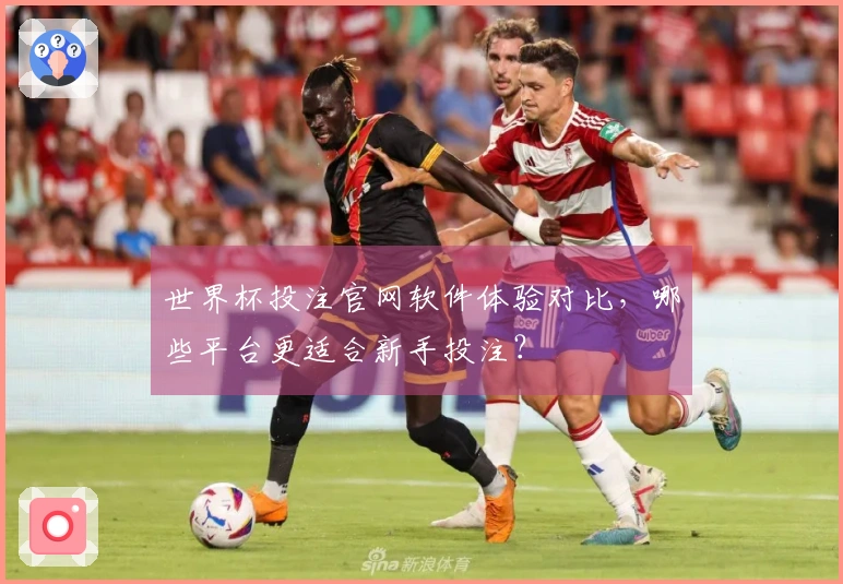 世界杯投注官网软件体验对比，哪些平台更适合新手投注？