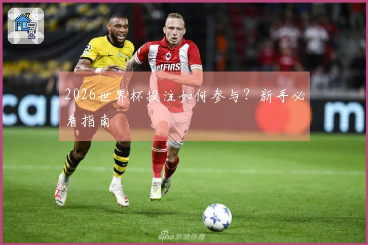 2026世界杯投注如何参与？新手必看指南