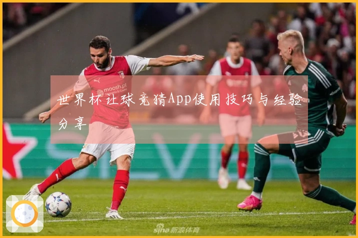 世界杯让球竞猜App使用技巧与经验分享