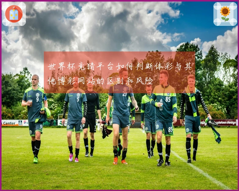 世界杯竞猜平台如何判断体彩与其他博彩网站的区别和风险