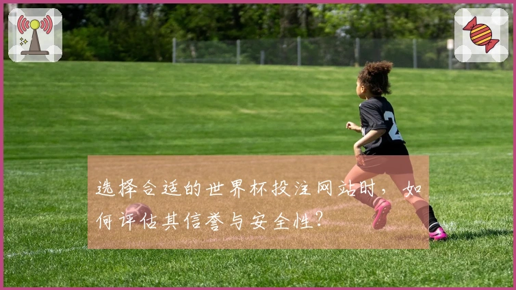 选择合适的世界杯投注网站时，如何评估其信誉与安全性？
