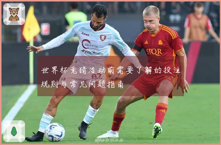 世界杯竞猜活动前需要了解的投注规则与常见问题指南