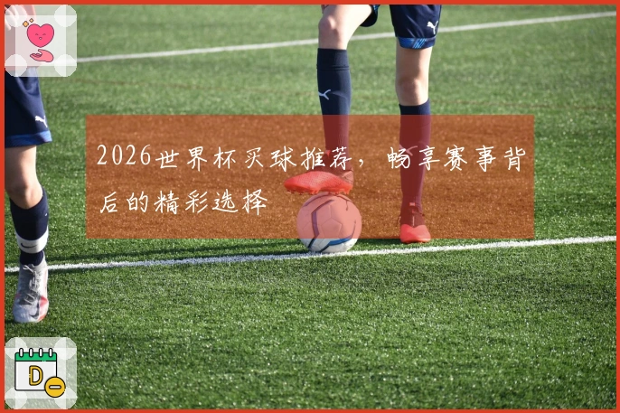 2026世界杯买球推荐,畅享赛事背后的精彩选择