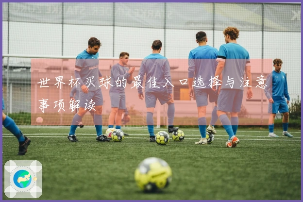 世界杯买球的最佳入口选择与注意事项解读