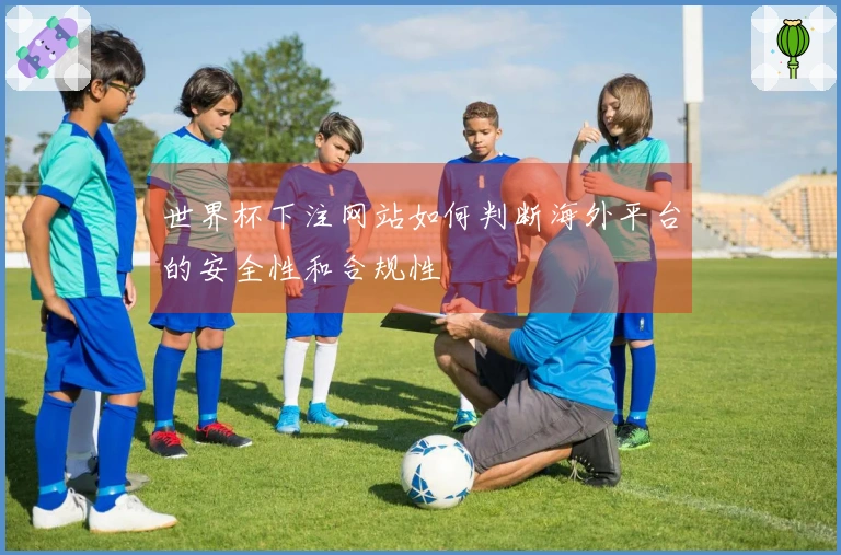 世界杯下注网站如何判断海外平台的安全性和合规性