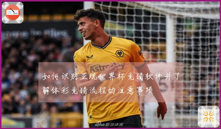 如何识别正规世界杯竞猜软件并了解体彩竞猜流程的注意事项