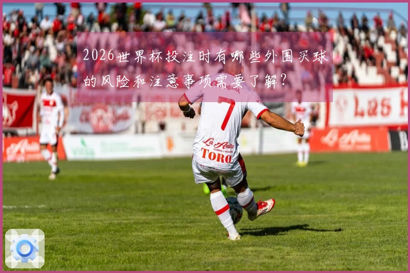 2026世界杯投注时有哪些外围买球的风险和注意事项需要了解？
