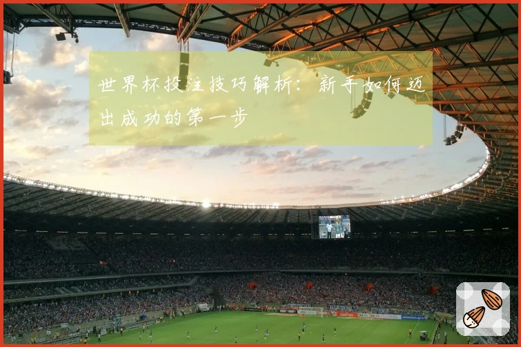 世界杯投注技巧解析：新手如何迈出成功的第一步