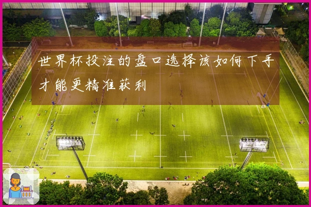 世界杯投注的盘口选择该如何下手才能更精准获利