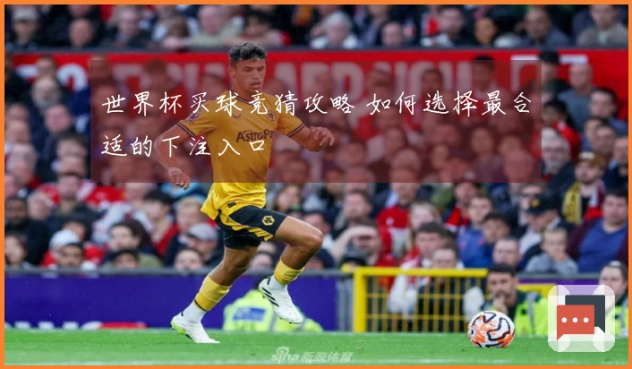 世界杯买球竞猜攻略 如何选择最合适的下注入口