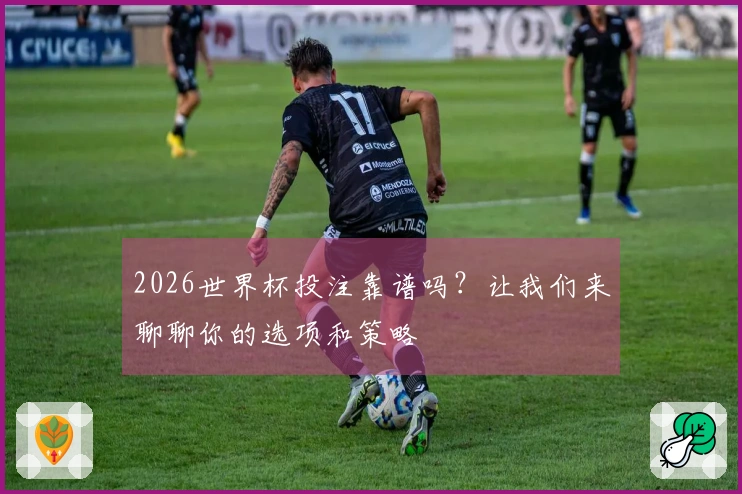 2026世界杯投注靠谱吗？让我们来聊聊你的选项和策略