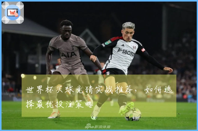 世界杯买球竞猜实战推荐，如何选择最优投注策略