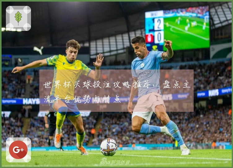 世界杯买球投注攻略推荐，盘点主流平台优势与特点