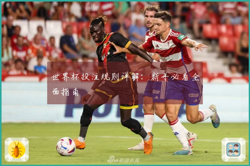世界杯投注规则详解:新手必看全面指南