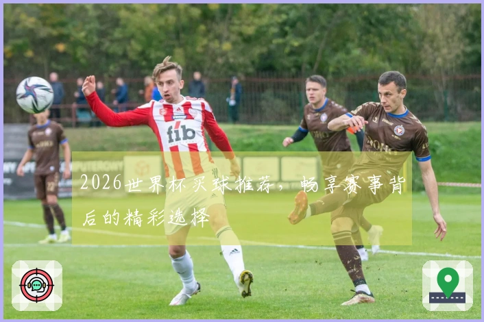 2026世界杯买球推荐，畅享赛事背后的精彩选择