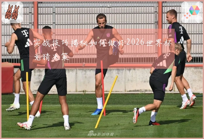 实战技巧揭秘如何做好2026世界杯竞猜决策