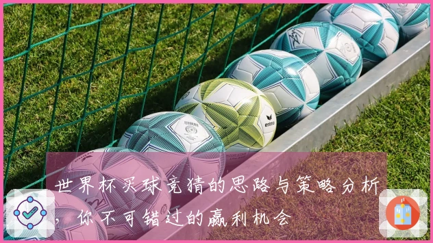 世界杯买球竞猜的思路与策略分析,你不可错过的赢利机会