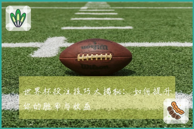 世界杯投注技巧大揭秘：如何提升你的胜率与收益