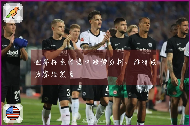 世界杯竞猜盘口趋势分析,谁将成为赛场黑马