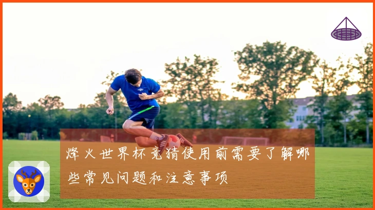 烽火世界杯竞猜使用前需要了解哪些常见问题和注意事项