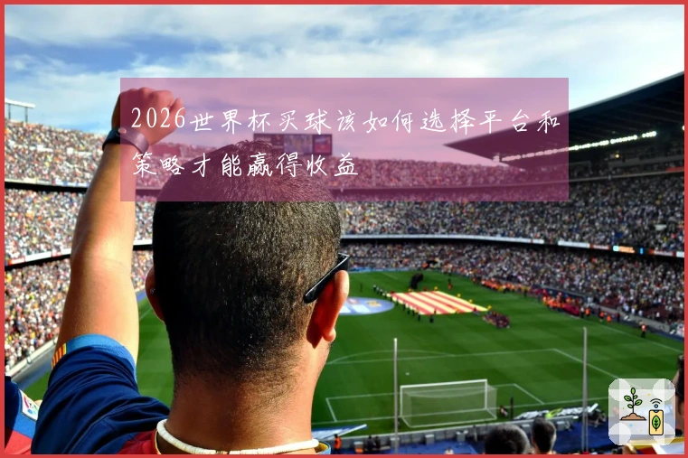 2026世界杯买球该如何选择平台和策略才能赢得收益