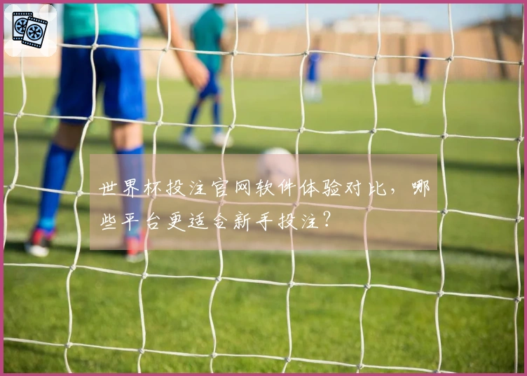 世界杯投注官网软件体验对比，哪些平台更适合新手投注？