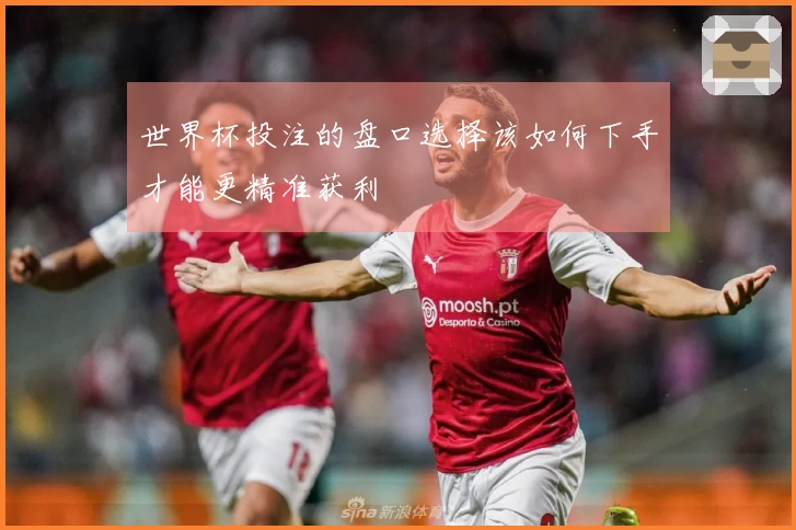 世界杯投注的盘口选择该如何下手才能更精准获利