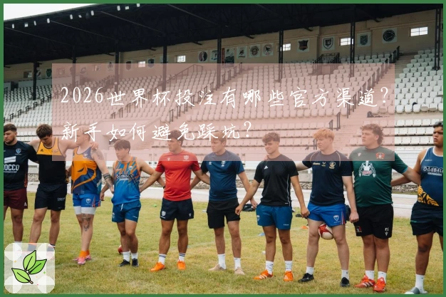2026世界杯投注有哪些官方渠道？新手如何避免踩坑？