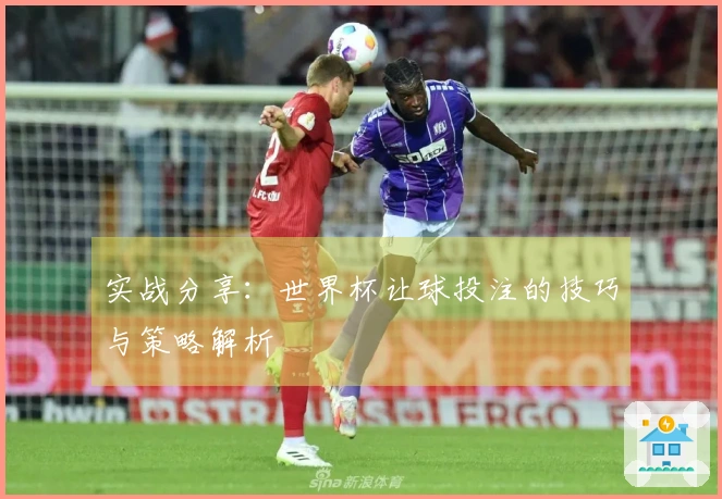 实战分享：世界杯让球投注的技巧与策略解析