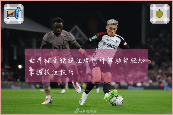 世界杯竞猜投注规则详解助你轻松掌握投注技巧