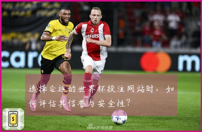 选择合适的世界杯投注网站时，如何评估其信誉与安全性？