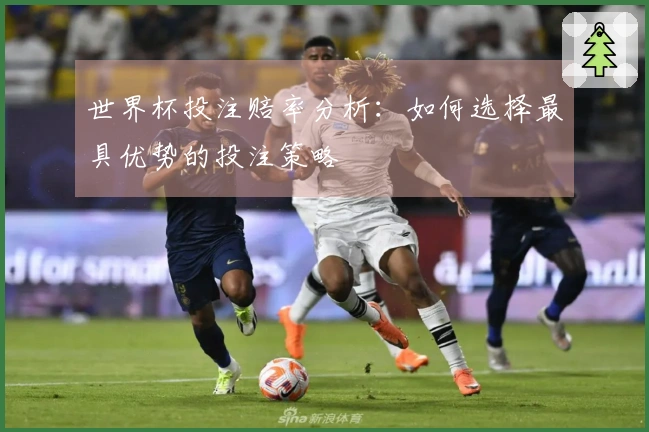 世界杯投注赔率分析:如何选择最具优势的投注策略